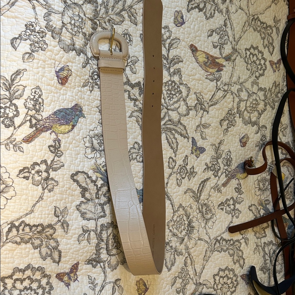 Ann Taylor Cream Croc-Embossed Belt with Gold
